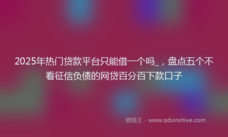 2025年热门贷款平台只能借一个吗_，盘点五个不看征信负债的网贷百分百下款口子