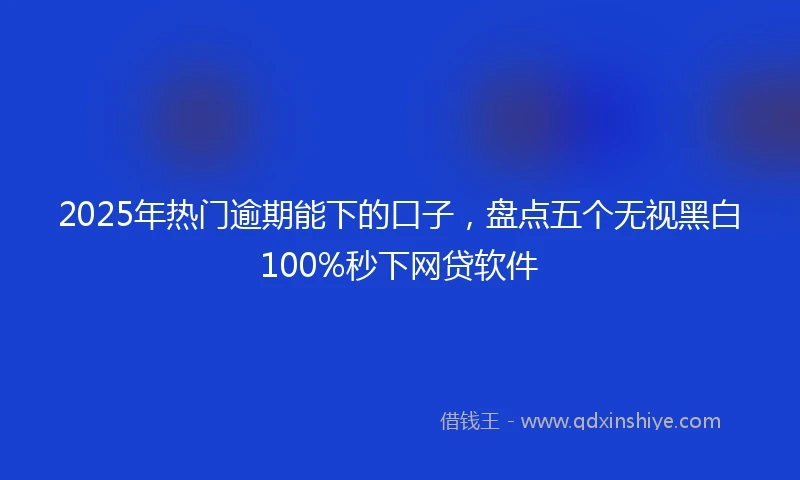 2025年热门逾期能下的口子，盘点五个无视黑白100%秒下网贷软件
