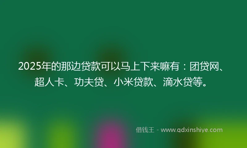 2025年的那边贷款可以马上下来嘛有：团贷网、超人卡、功夫贷、小米贷款、滴水贷等。