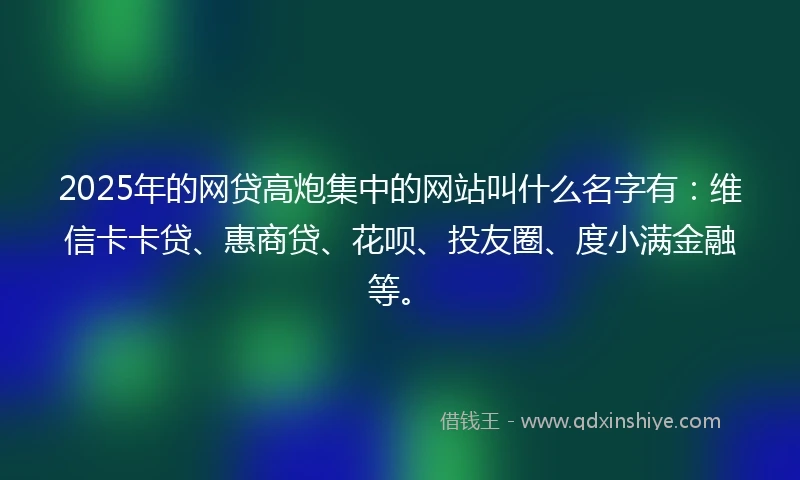 2025年的网贷高炮集中的网站叫什么名字有：维信卡卡贷、惠商贷、花呗、投友圈、度小满金融等。