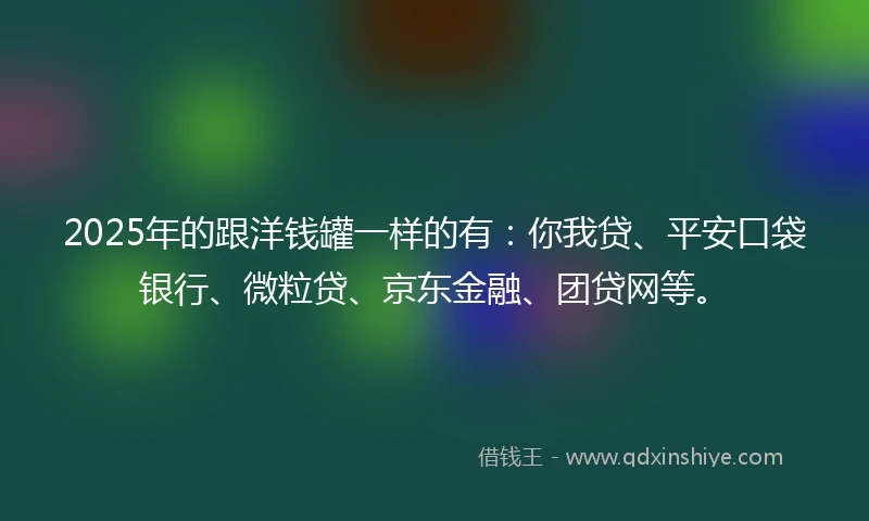 2025年的跟洋钱罐一样的有：你我贷、平安口袋银行、微粒贷、京东金融、团贷网等。