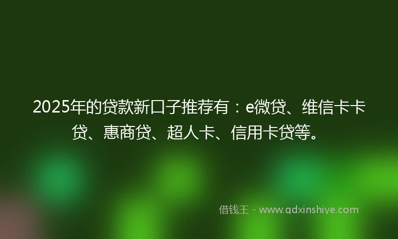 2025年的贷款新口子推荐有：e微贷、维信卡卡贷、惠商贷、超人卡、信用卡贷等。
