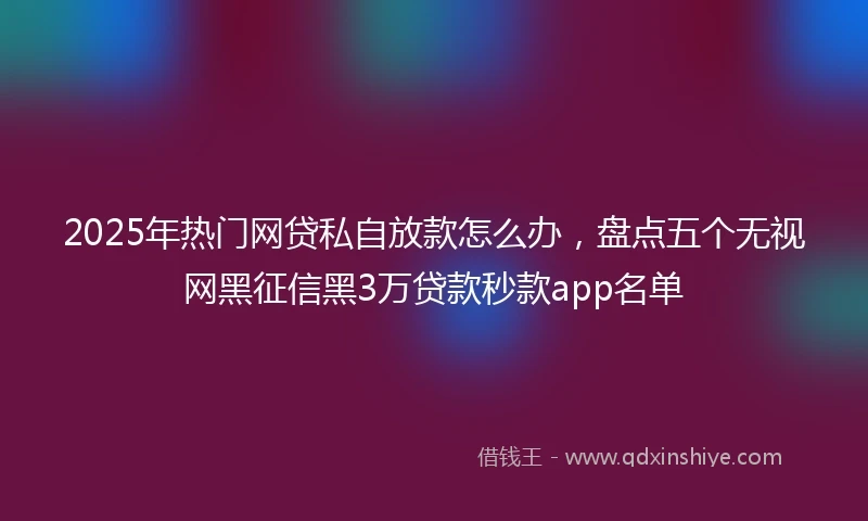 2025年热门网贷私自放款怎么办，盘点五个无视网黑征信黑3万贷款秒款app名单