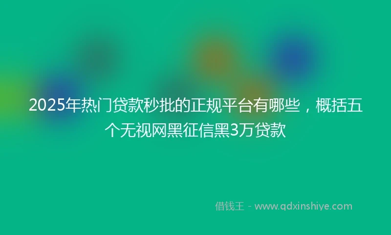 2025年热门贷款秒批的正规平台有哪些，概括五个无视网黑征信黑3万贷款