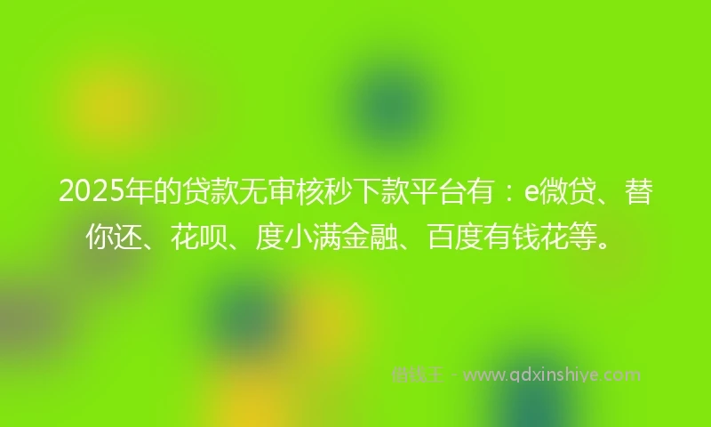 2025年的贷款无审核秒下款平台有：e微贷、替你还、花呗、度小满金融、百度有钱花等。