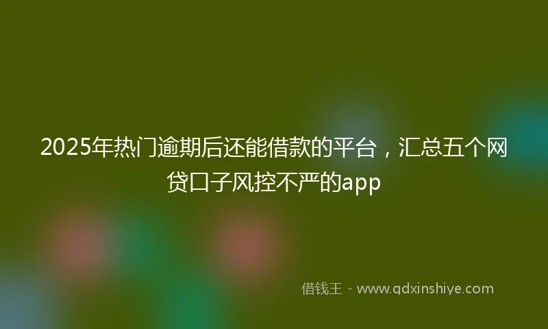 2025年热门逾期后还能借款的平台，汇总五个网贷口子风控不严的app
