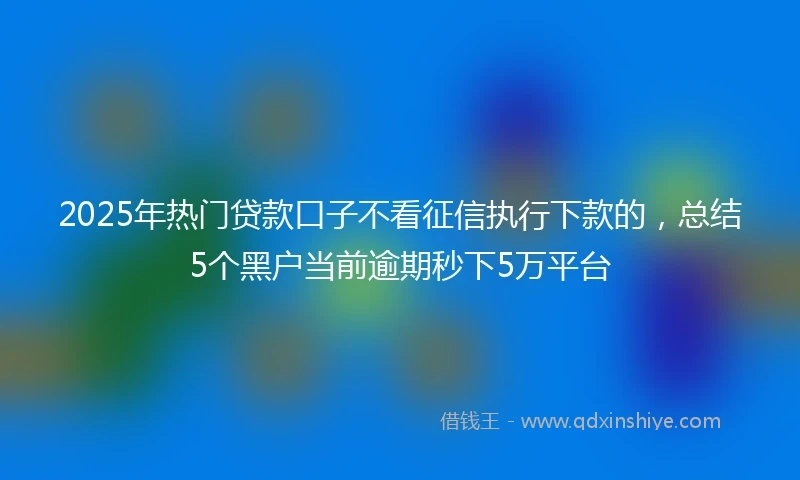 2025年热门贷款口子不看征信执行下款的，总结5个黑户当前逾期秒下5万平台