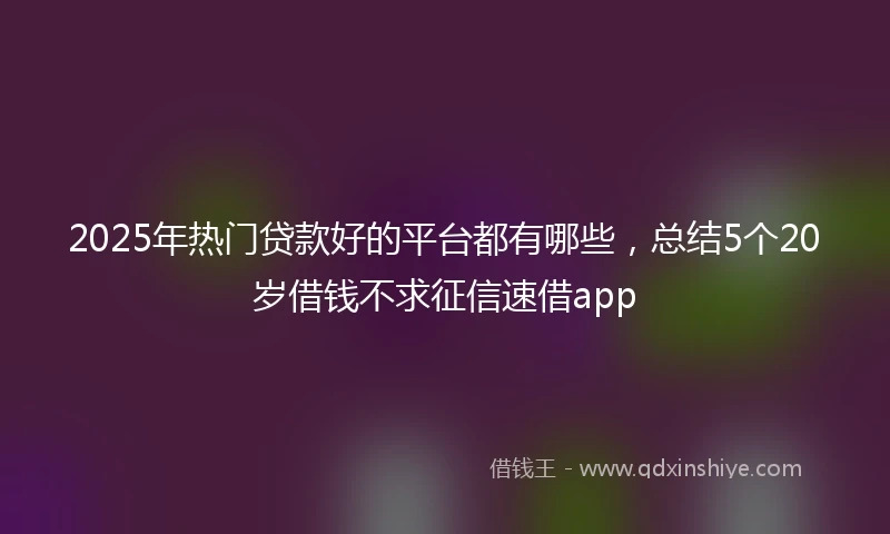 2025年热门贷款好的平台都有哪些，总结5个20岁借钱不求征信速借app