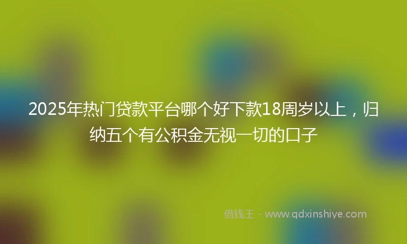 2025年热门贷款平台哪个好下款18周岁以上，归纳五个有公积金无视一切的口子