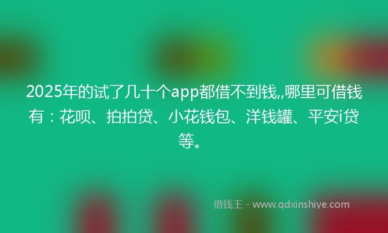 2025年的试了几十个app都借不到钱,,哪里可借钱有：花呗、拍拍贷、小花钱包、洋钱罐、平安i贷等。