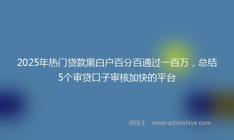 2025年热门贷款黑白户百分百通过一百万，总结5个审贷口子审核加快的平台