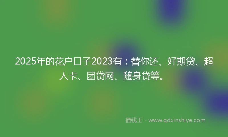 2025年的花户口子2023有：替你还、好期贷、超人卡、团贷网、随身贷等。