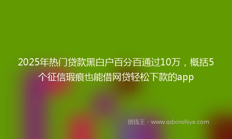 2025年热门贷款黑白户百分百通过10万，概括5个征信瑕疵也能借网贷轻松下款的app