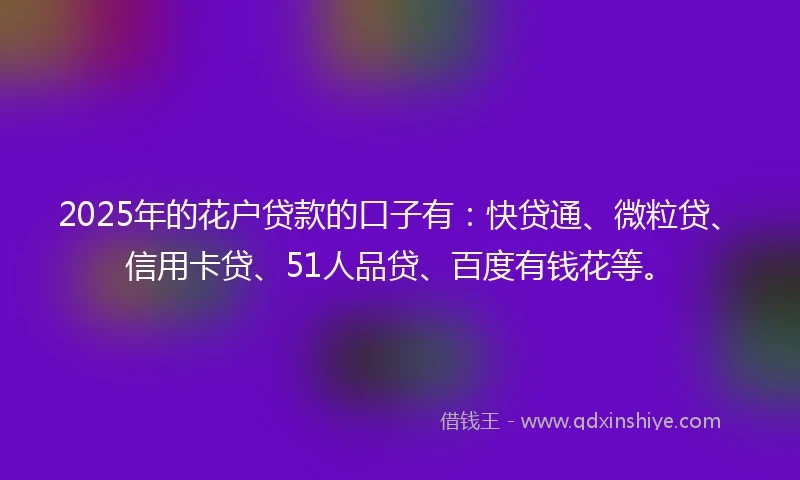 2025年的花户贷款的口子有：快贷通、微粒贷、信用卡贷、51人品贷、百度有钱花等。