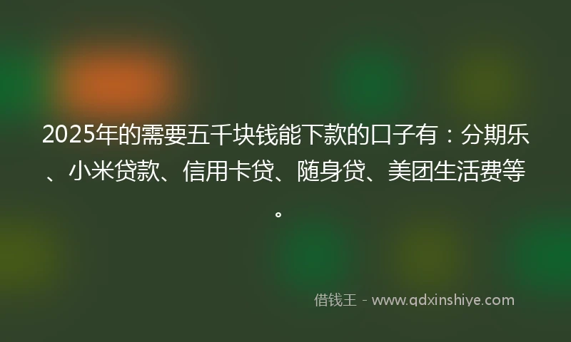 2025年的需要五千块钱能下款的口子有：分期乐、小米贷款、信用卡贷、随身贷、美团生活费等。