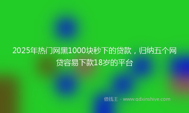 2025年热门网黑1000块秒下的贷款，归纳五个网贷容易下款18岁的平台