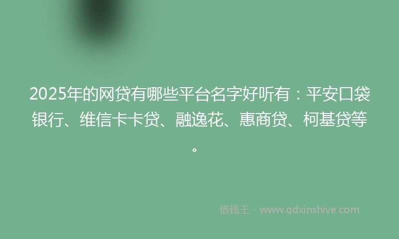 2025年的网贷有哪些平台名字好听有：平安口袋银行、维信卡卡贷、融逸花、惠商贷、柯基贷等。