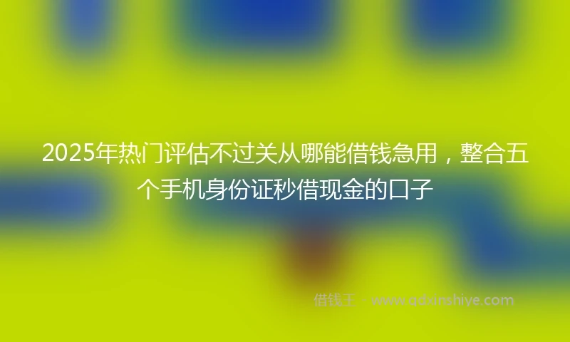 2025年热门评估不过关从哪能借钱急用，整合五个手机身份证秒借现金的口子