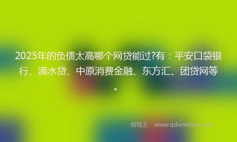 2025年的负债太高哪个网贷能过?有：平安口袋银行、滴水贷、中原消费金融、东方汇、团贷网等。