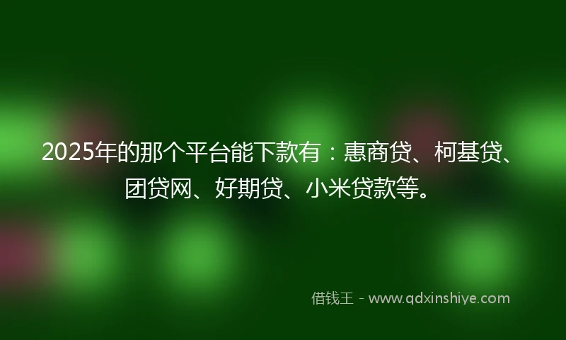 2025年的那个平台能下款有：惠商贷、柯基贷、团贷网、好期贷、小米贷款等。