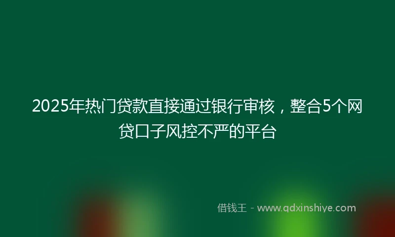2025年热门贷款直接通过银行审核，整合5个网贷口子风控不严的平台