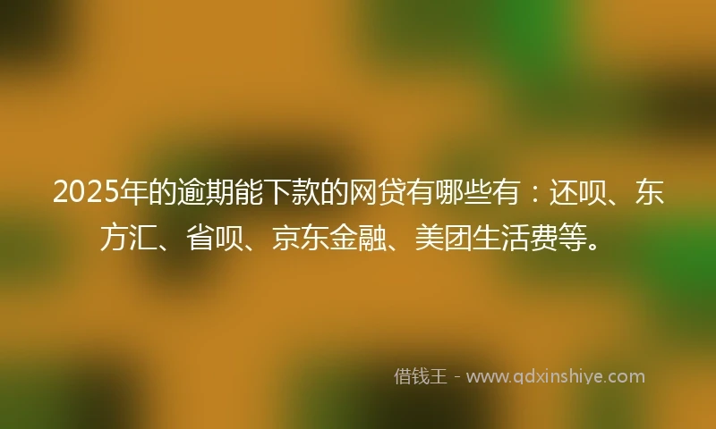 2025年的逾期能下款的网贷有哪些有：还呗、东方汇、省呗、京东金融、美团生活费等。