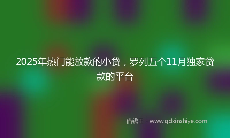 2025年热门能放款的小贷，罗列五个11月独家贷款的平台
