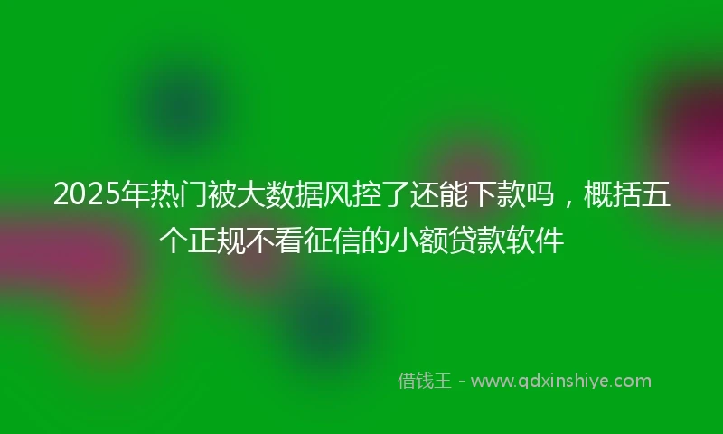 2025年热门被大数据风控了还能下款吗，概括五个正规不看征信的小额贷款软件