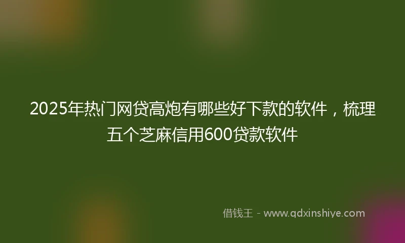 2025年热门网贷高炮有哪些好下款的软件，梳理五个芝麻信用600贷款软件