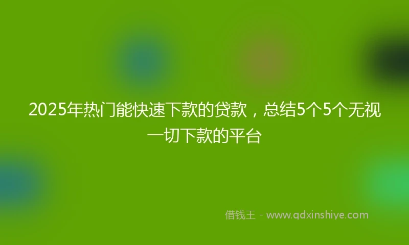 2025年热门能快速下款的贷款，总结5个5个无视一切下款的平台