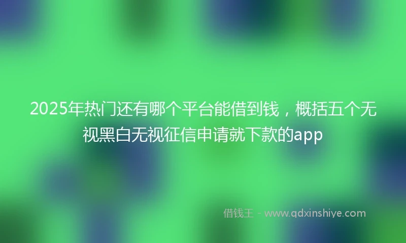 2025年热门还有哪个平台能借到钱，概括五个无视黑白无视征信申请就下款的app