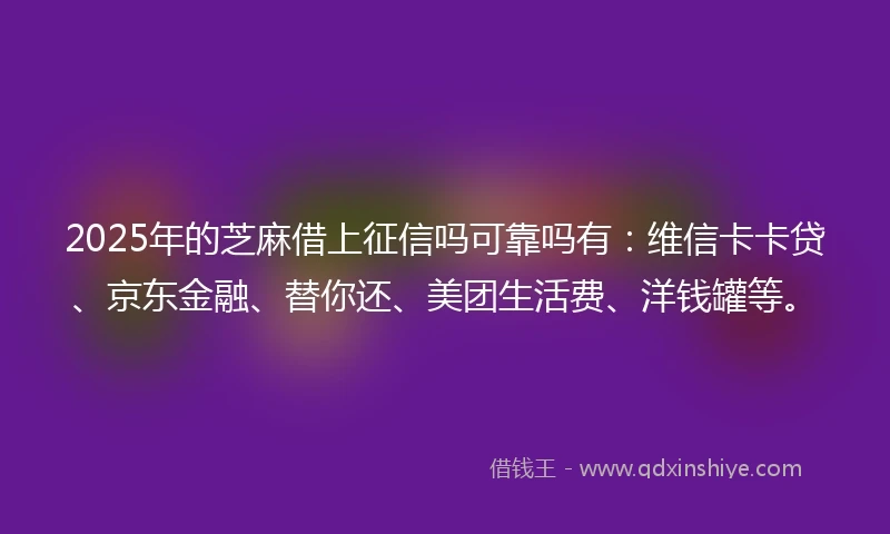 2025年的芝麻借上征信吗可靠吗有：维信卡卡贷、京东金融、替你还、美团生活费、洋钱罐等。