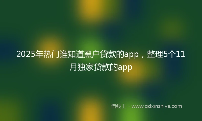 2025年热门谁知道黑户贷款的app，整理5个11月独家贷款的app