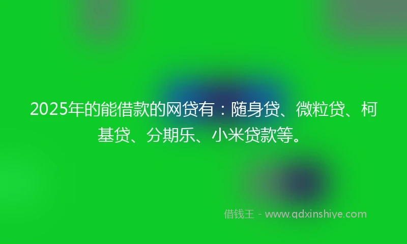 2025年的能借款的网贷有：随身贷、微粒贷、柯基贷、分期乐、小米贷款等。