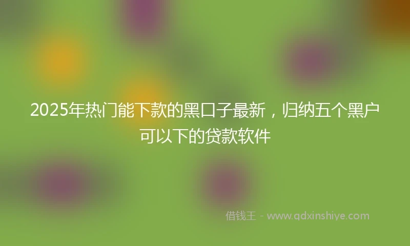 2025年热门能下款的黑口子最新，归纳五个黑户可以下的贷款软件