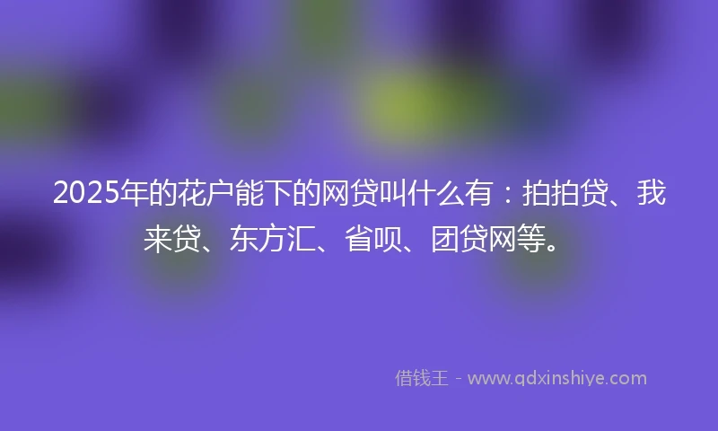 2025年的花户能下的网贷叫什么有：拍拍贷、我来贷、东方汇、省呗、团贷网等。