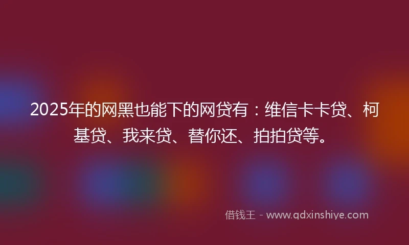 2025年的网黑也能下的网贷有：维信卡卡贷、柯基贷、我来贷、替你还、拍拍贷等。
