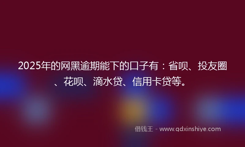 2025年的网黑逾期能下的口子有：省呗、投友圈、花呗、滴水贷、信用卡贷等。