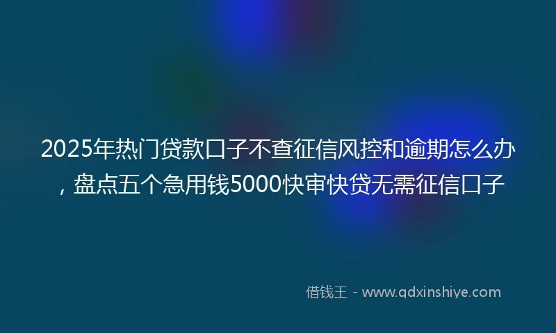 2025年热门贷款口子不查征信风控和逾期怎么办,盘点五个急用钱5000快审快贷无需征信口子