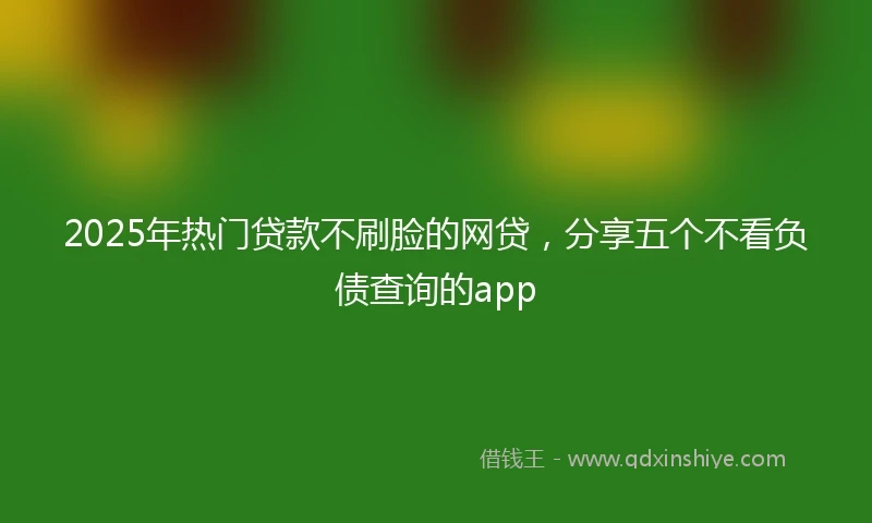 2025年热门贷款不刷脸的网贷，分享五个不看负债查询的app