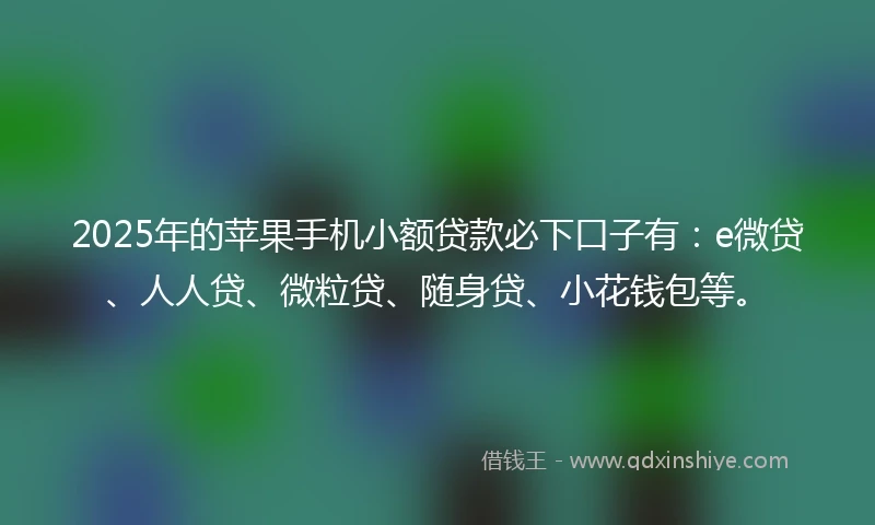 2025年的苹果手机小额贷款必下口子有：e微贷、人人贷、微粒贷、随身贷、小花钱包等。
