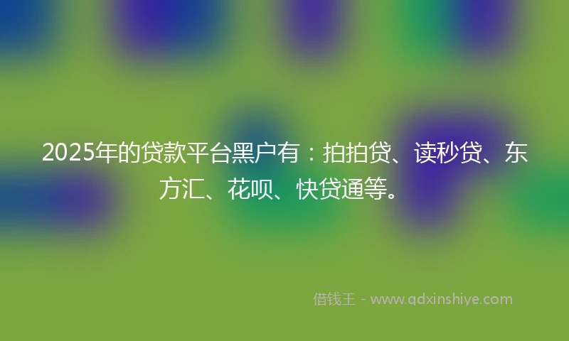 2025年的贷款平台黑户有:拍拍贷、读秒贷、东方汇、花呗、快贷通等。
