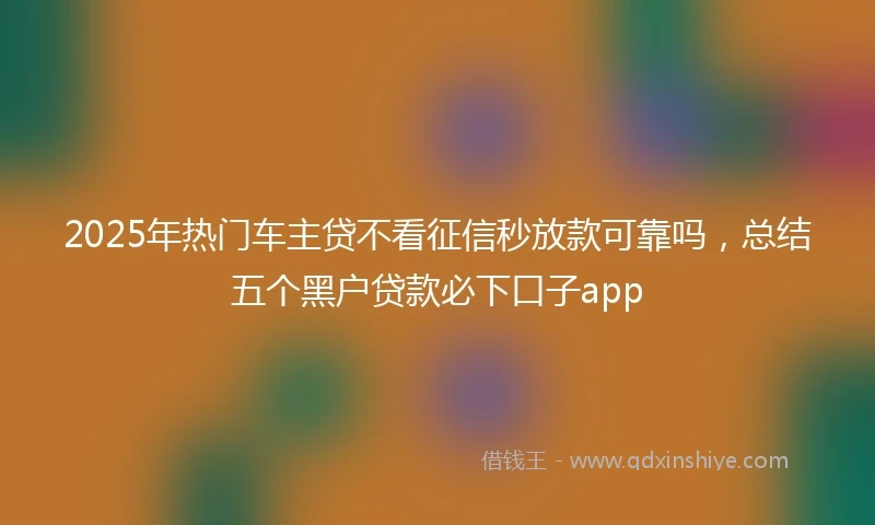 2025年热门车主贷不看征信秒放款可靠吗，总结五个黑户贷款必下口子app