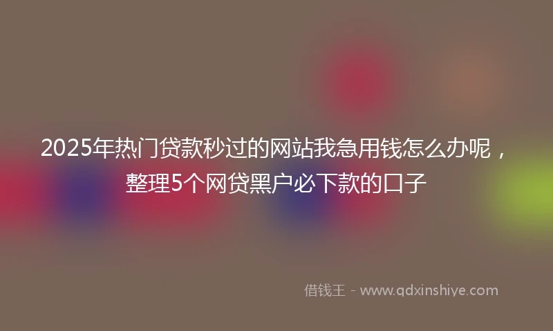 2025年热门贷款秒过的网站我急用钱怎么办呢，整理5个网贷黑户必下款的口子