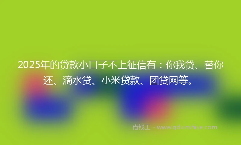 2025年的贷款小口子不上征信有：你我贷、替你还、滴水贷、小米贷款、团贷网等。