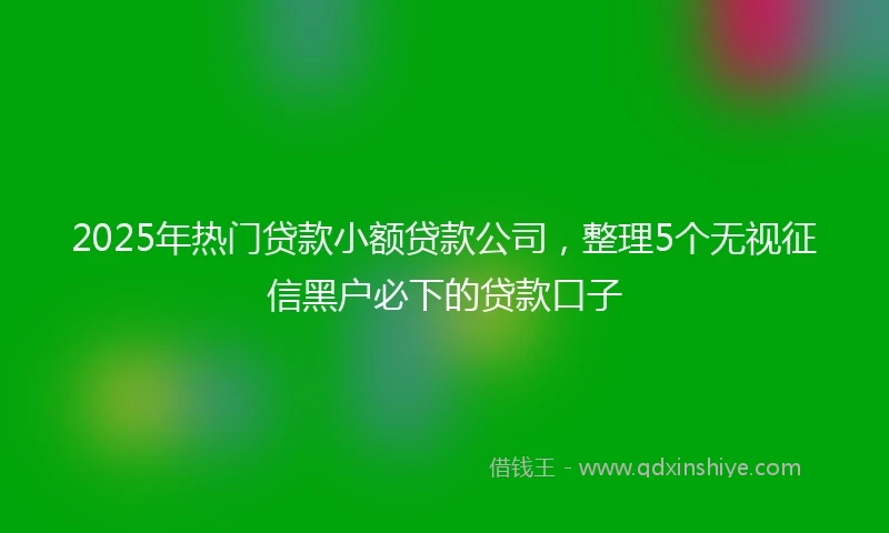 2025年热门贷款小额贷款公司,整理5个无视征信黑户必下的贷款口子