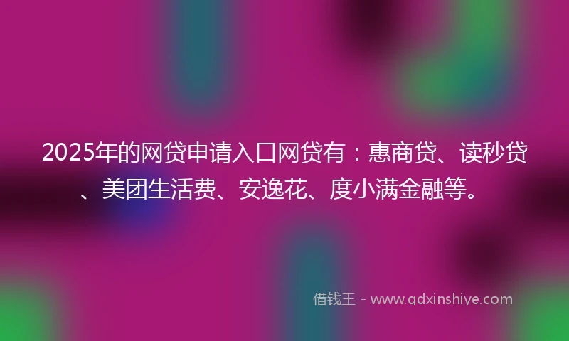 2025年的网贷申请入口网贷有：惠商贷、读秒贷、美团生活费、安逸花、度小满金融等。