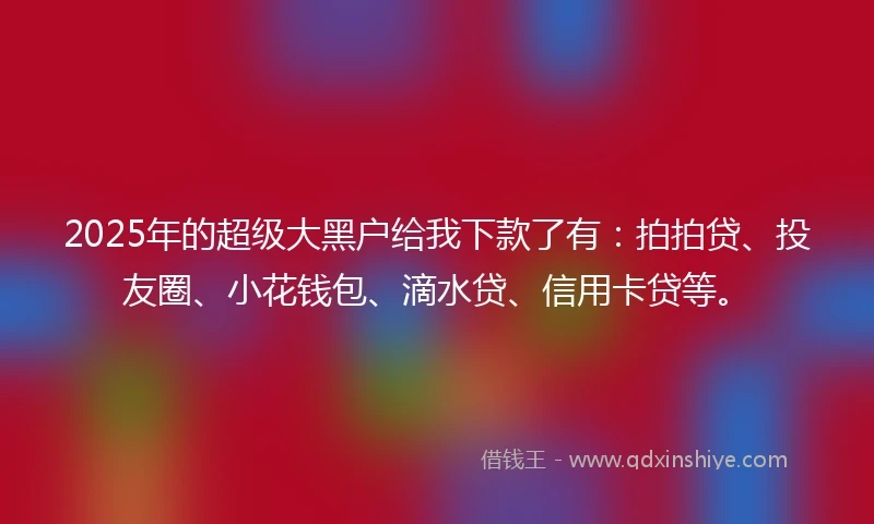 2025年的超级大黑户给我下款了有：拍拍贷、投友圈、小花钱包、滴水贷、信用卡贷等。
