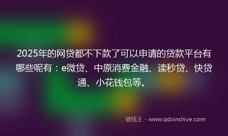 2025年的网贷都不下款了可以申请的贷款平台有哪些呢有：e微贷、中原消费金融、读秒贷、快贷通、小花钱包等。