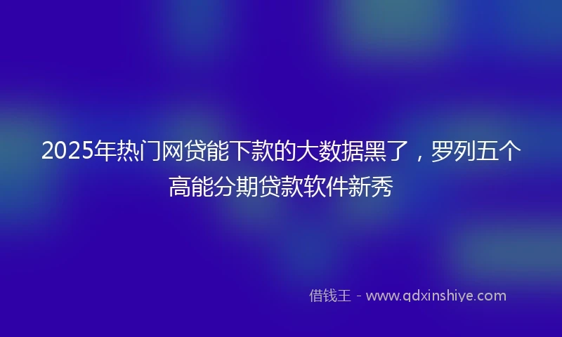 2025年热门网贷能下款的大数据黑了，罗列五个高能分期贷款软件新秀